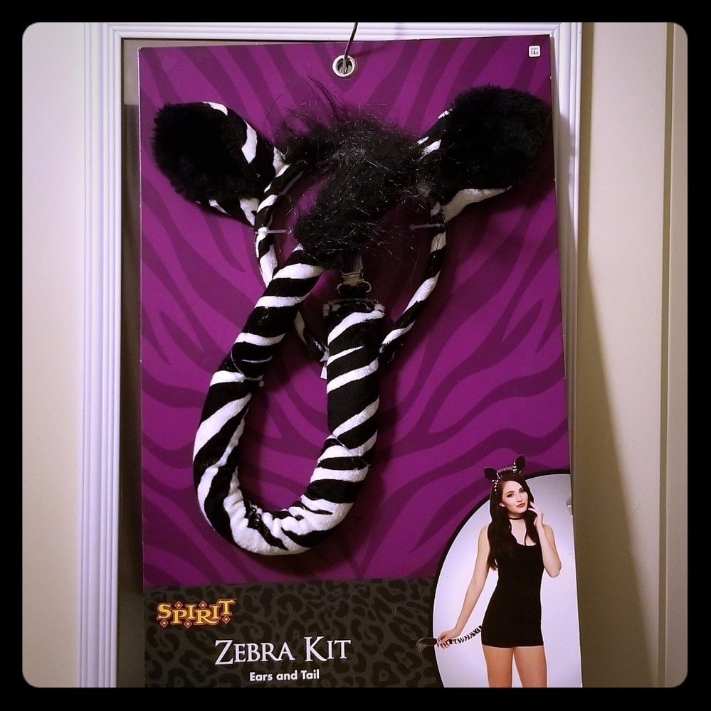 Zebra Costume